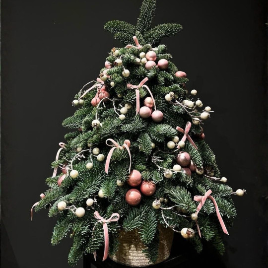 Лесная Гостья