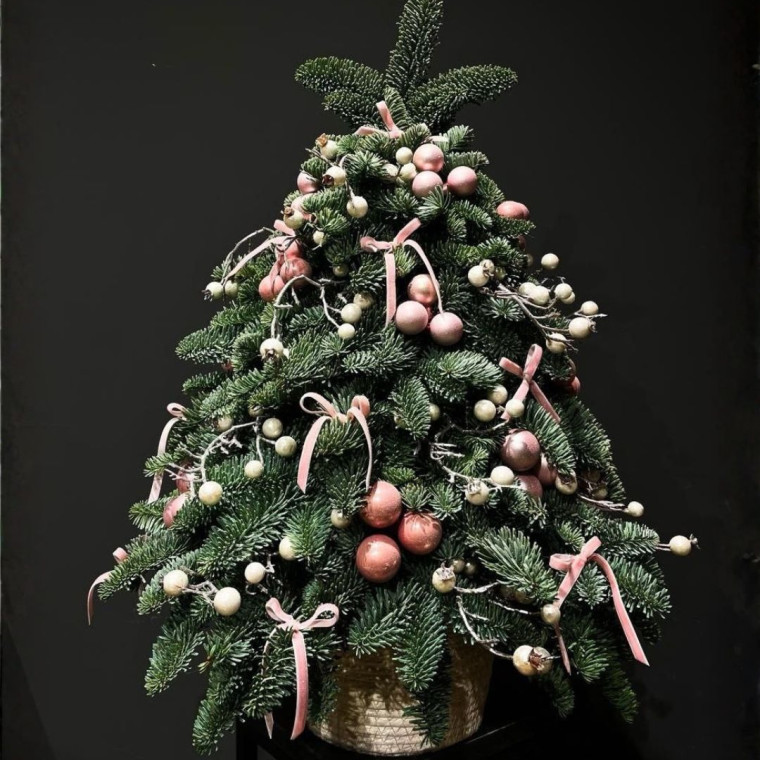 Лесная Гостья