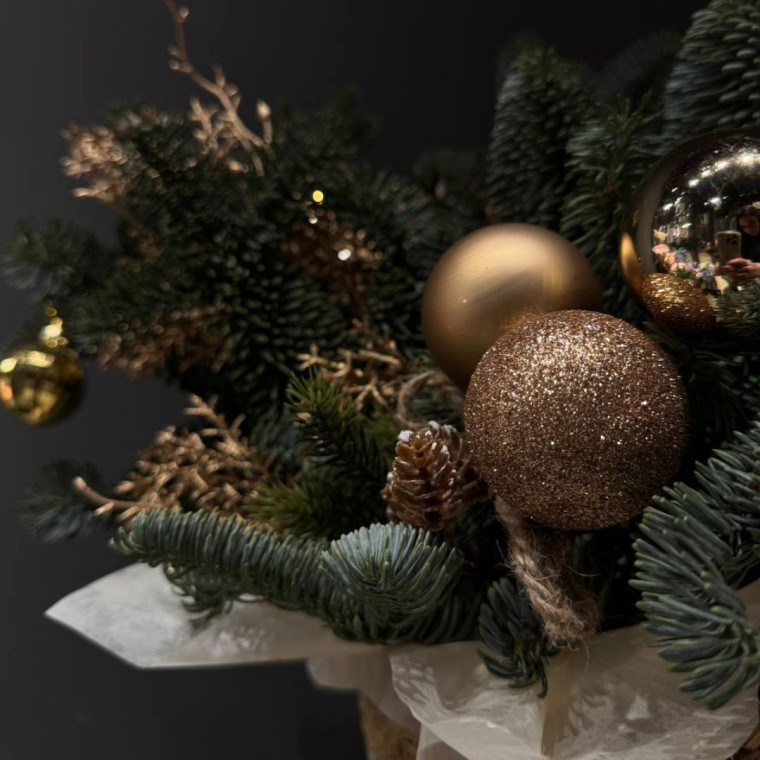 Морозное Очарование