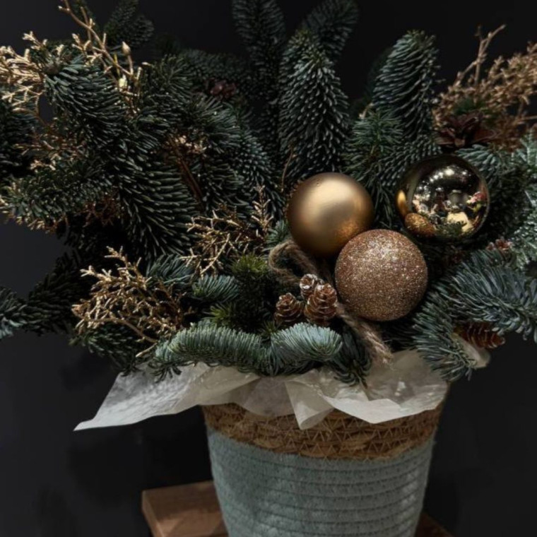 Морозное Очарование