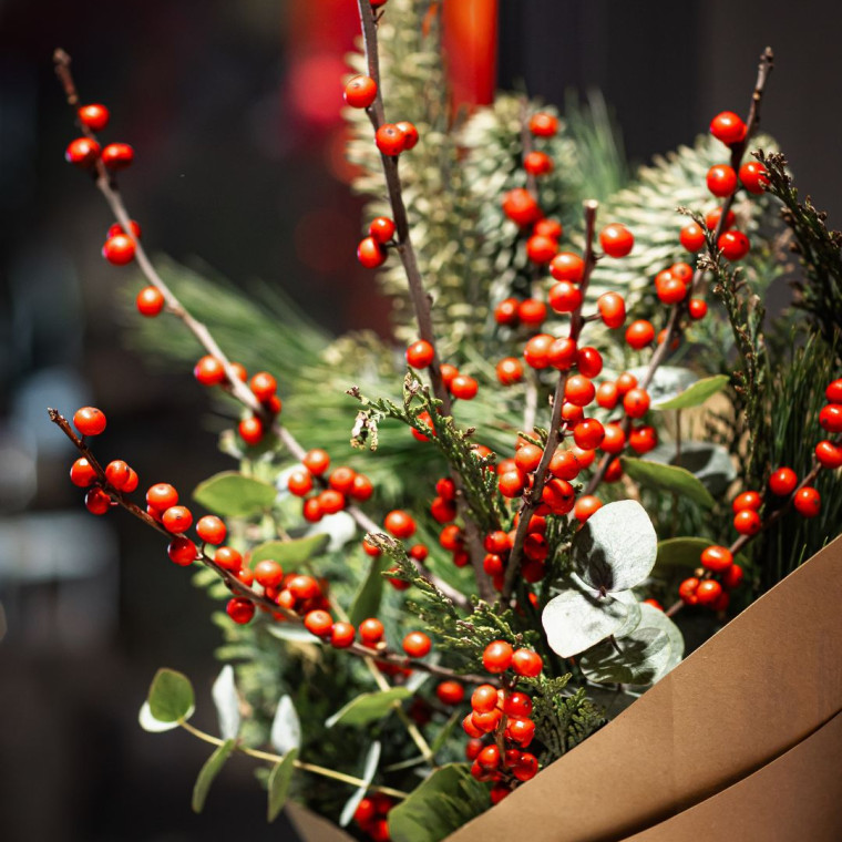 Красная Ягода