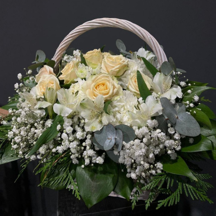 Зимний Рассвет