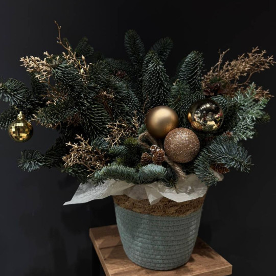 Морозное Очарование