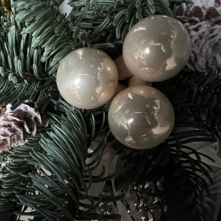 Сияние Января