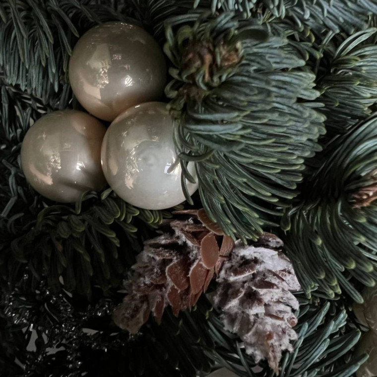 Сияние Января