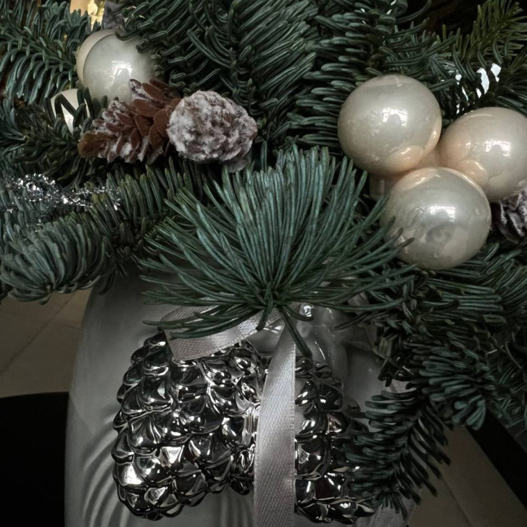 Сияние Января