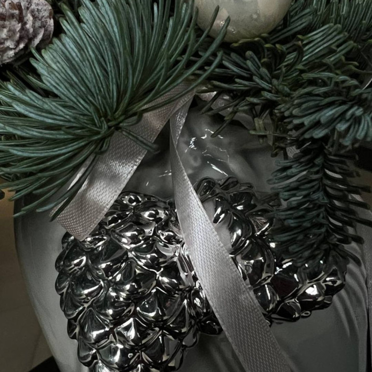 Сияние Января