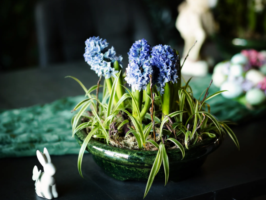 Цветы как терапия: как мастер-классы по флористике помогают расслабиться и найти вдохновение