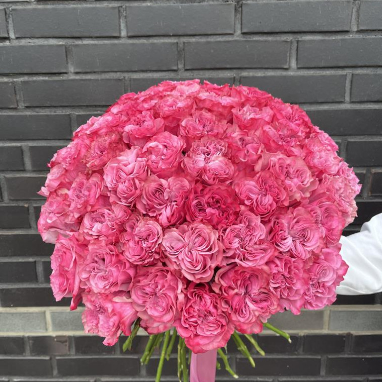 Ярко-розовые розы