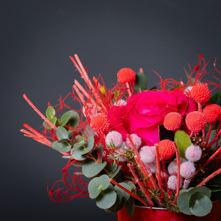 Пламя чувств