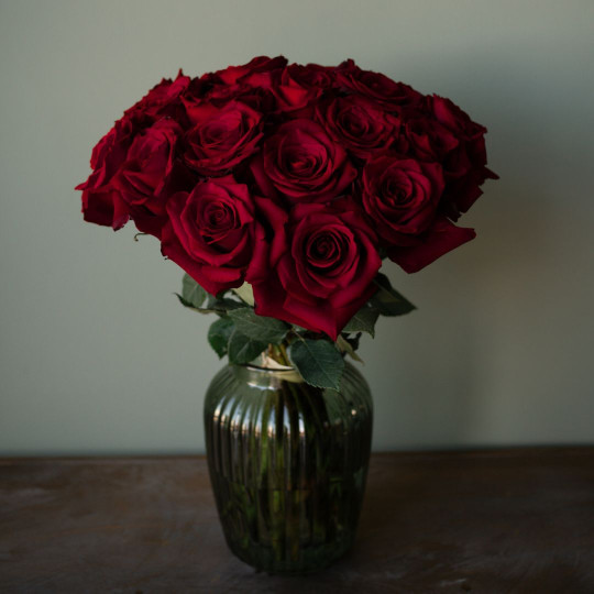 Красные розы