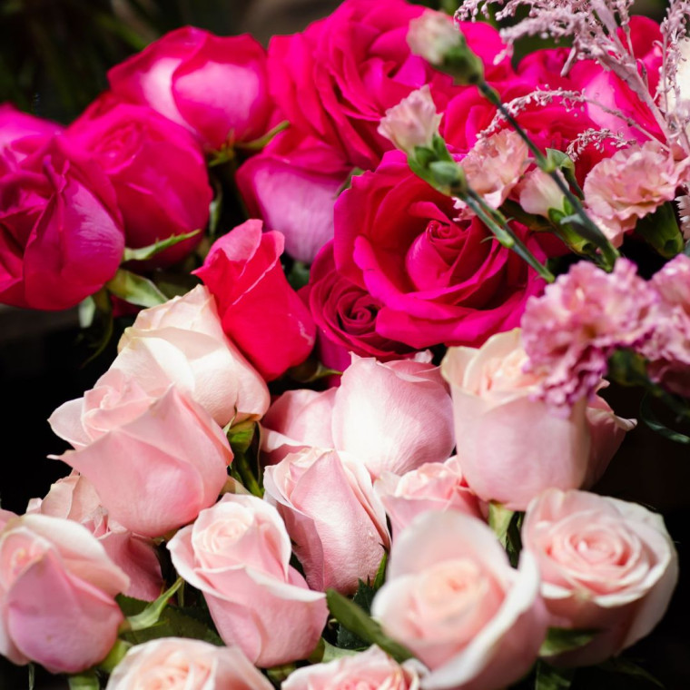 Нежно-розовые розы